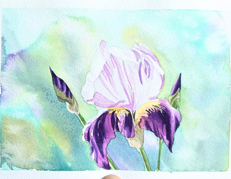 Watercolours in the Flower Field (Aug 19)
