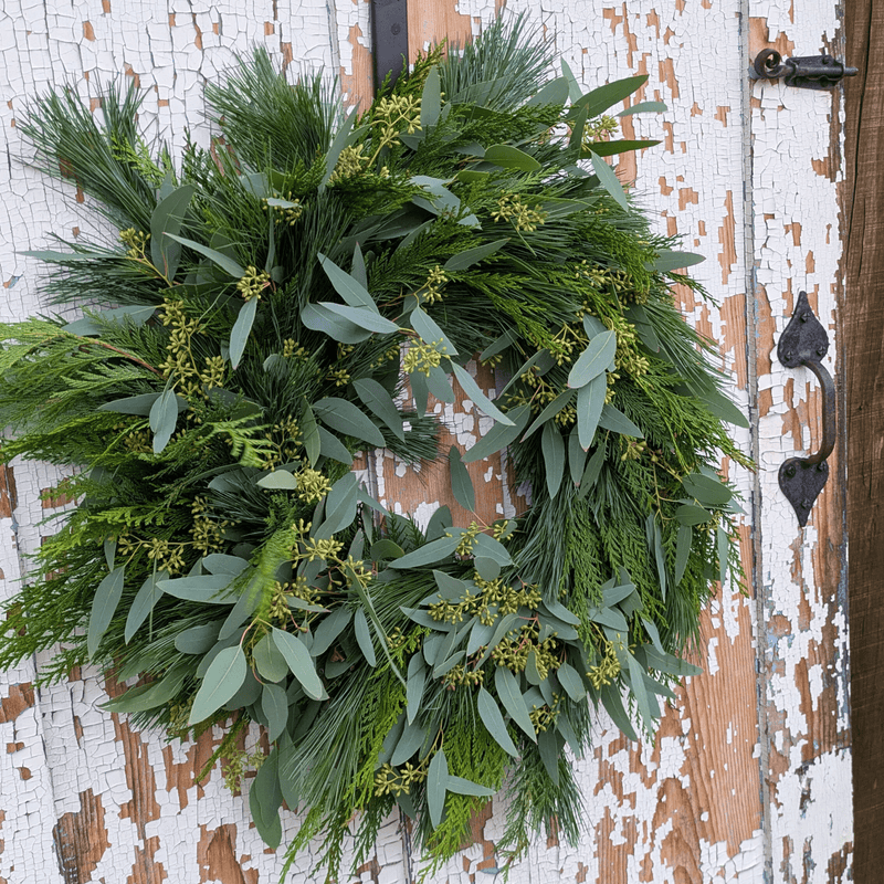 Fresh Evergreen + Eucalyptus Wreath (Pre-Made)