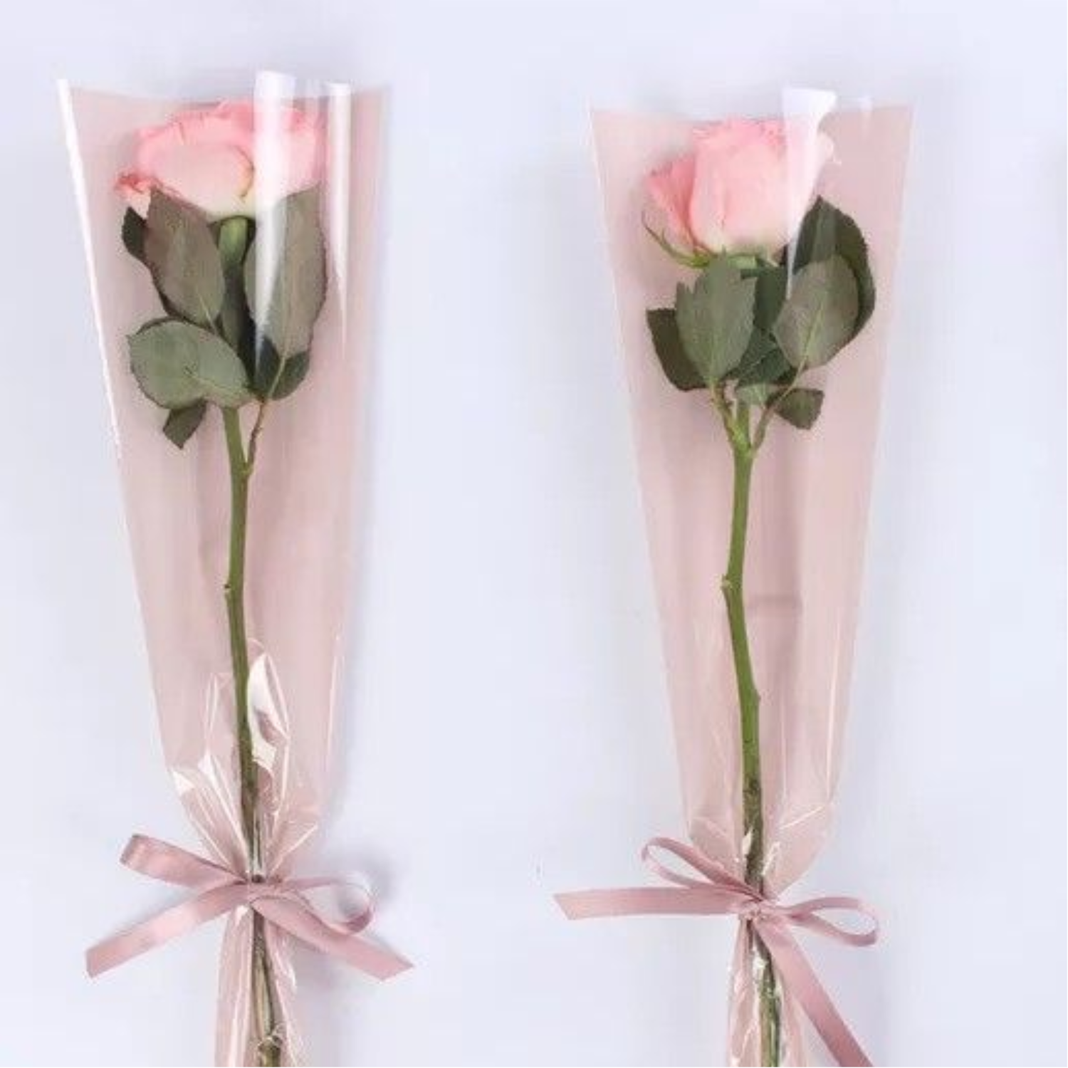 Single Wrapped Rose - Soulshine Dance Arts