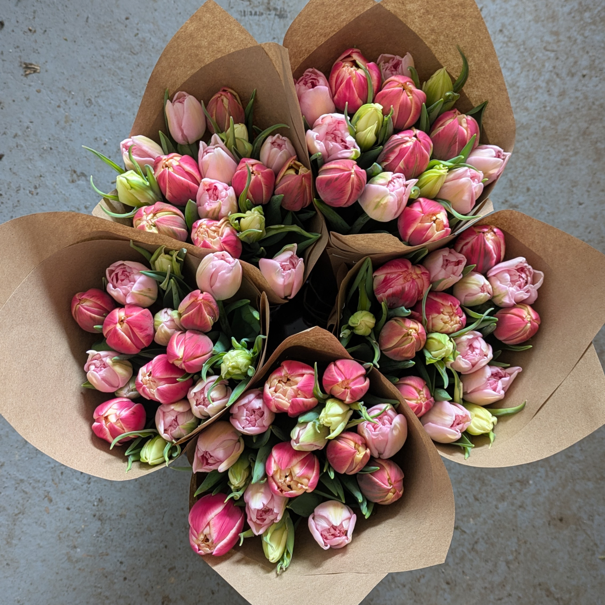 Valentine's Farm-Grown Tulip Bunch